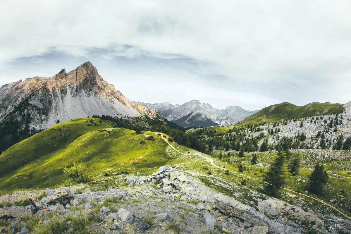 Czy warto leczyć dzieci? Koszty i ceny