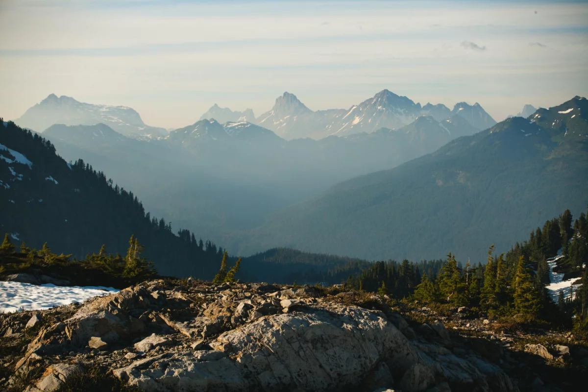 Usługi YLVA: przewodnik po ofercie, korzyściach i opiniach klientów — jak wybrać najlepszy pakiet dla firmy i domu