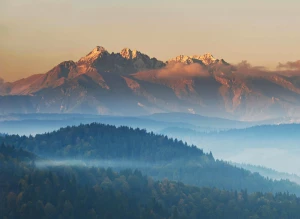 Niższe nakłady, lepszy druk. Poligrafia ogółem
