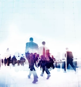 Porady prawne- i te darmowe i te płatne. Które lepsze?