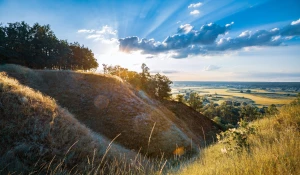 O kartkach zaproszeniowych na ślub