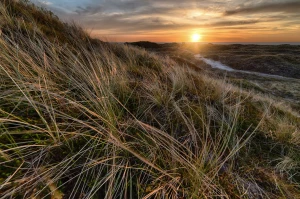 Event i akcesoria na wypożyczenie